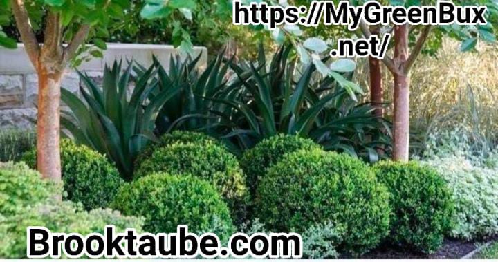 MyGreenBux.net