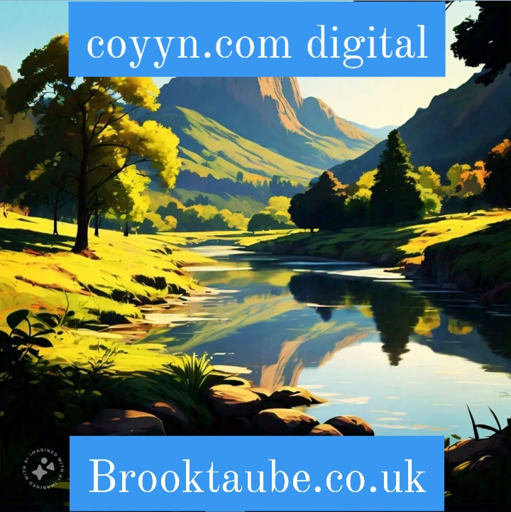 coyyn.com digital